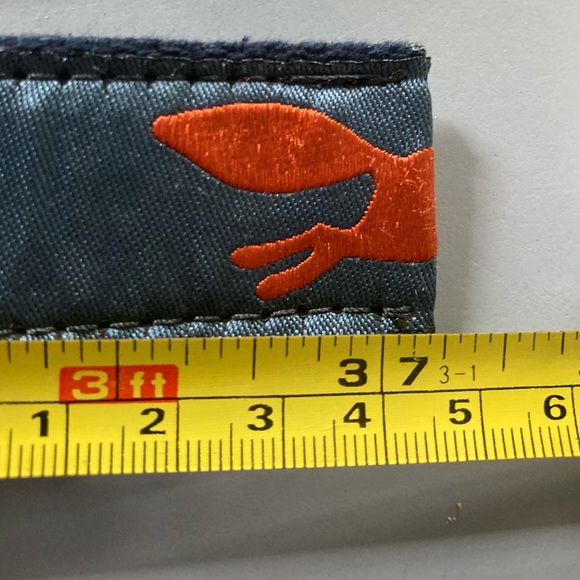 Belted Cow Feeling Foxy Ribbon D-Ring Belt size Small - Picture 5 of 5